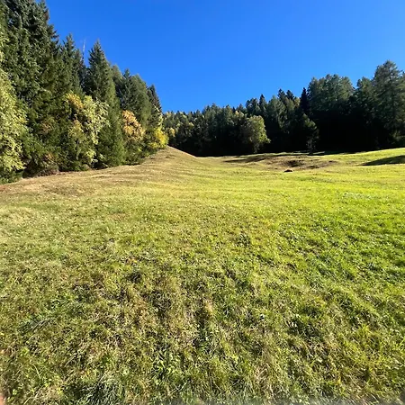 公寓 Alpenflair 74 弗利斯