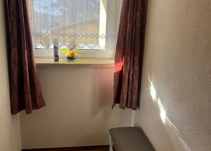 Alpenflair 74 公寓 *