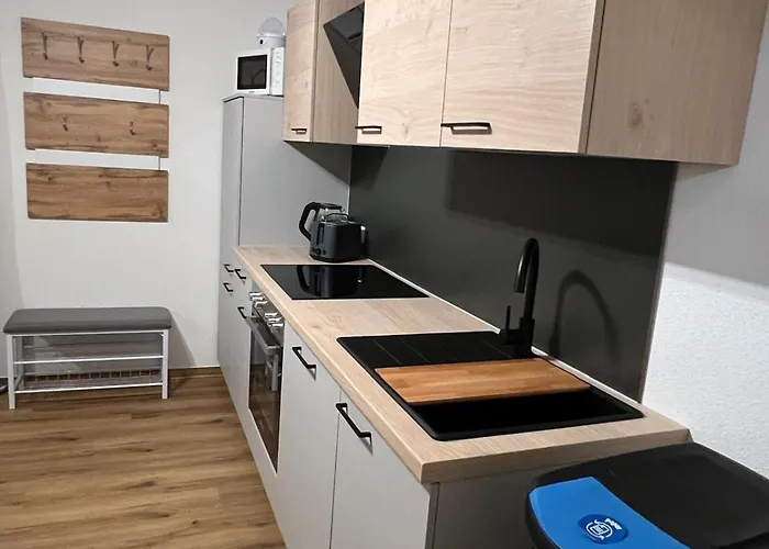 公寓 Alpenflair 74 弗利斯